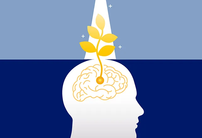 ثروت واقعی در سفر قهرمانی: آنچه هیچ‌کس نمی‌تواند از تو بدزدد